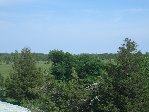 [Picture: View from the barn roof 3]