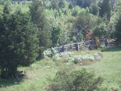 [Picture: Paddock fence]