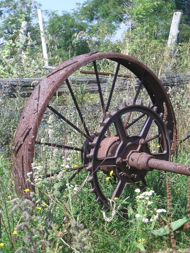 [Picture: Old tractor wheel]