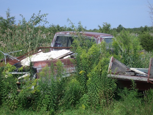 [Picture: Abandoned car]