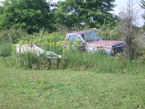 [Picture: Abandoned car 2]