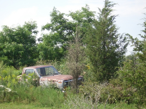 [Picture: Abandoned car 3]