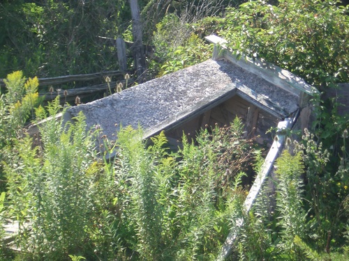 [Picture: overgrown structure]