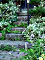 [picture: Stone steps]