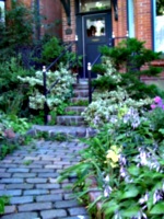 [picture: Stone steps 2]