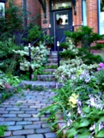 [picture: Stone steps 3]