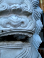 [picture: Chinese lion's mouth]