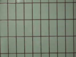 [picture: Tiled wall]