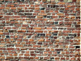 [picture: Old brick wall]