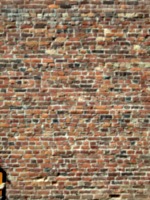 [picture: Old brick wall 2]