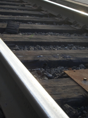 [Picture: Railway lines 3]