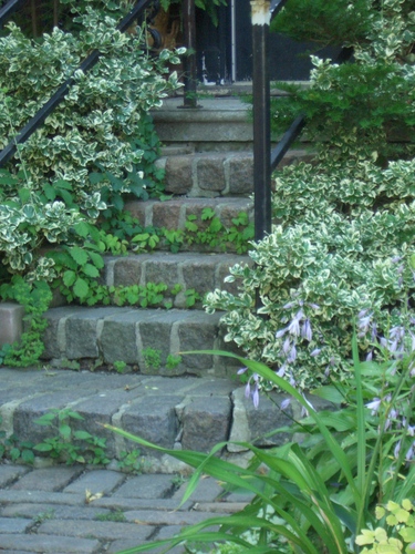[Picture: Stone steps]