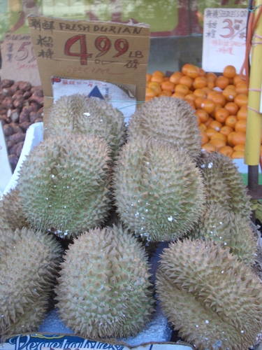 [Picture: Durian Fruit]