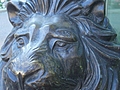 [Picture: Bronze lion 4]