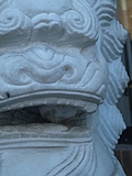 [Picture: Chinese lion’s mouth]