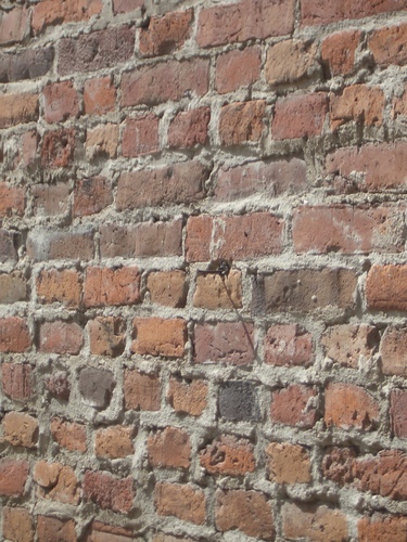 [Picture: Old brick wall 4]