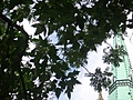 [Picture: St James Cathedral vertical panorama element 39]