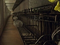 [Picture: blurry bike rack]