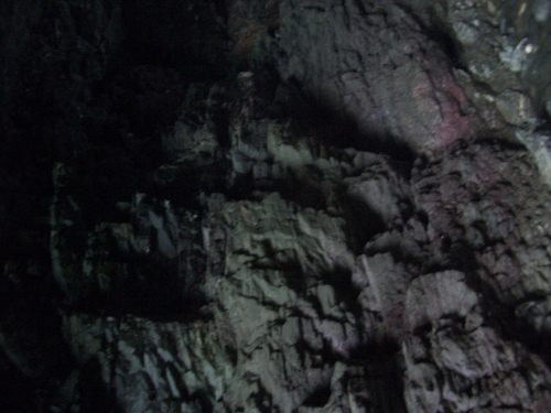 [Picture: Merlin’s Cave 11: rock texture 2]