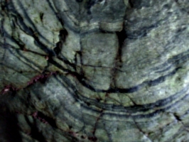 [Picture: Merlin’s Cave 12: rock texture 3]