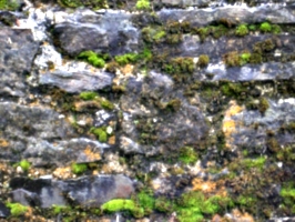[Picture: Restormel Castle 10: Wall texture 2]