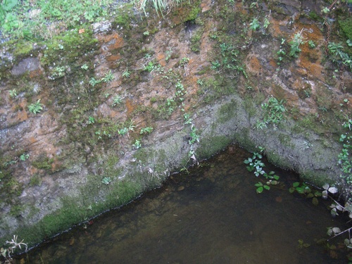 [Picture: Restormel Castle 11: The castle well]