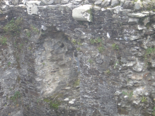 [Picture: Restormel Castle 17: Corbels]