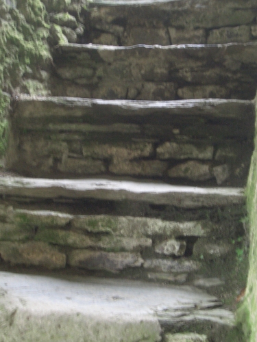 [Picture: Restormel Castle 22: Stone stairway to heaven 3]