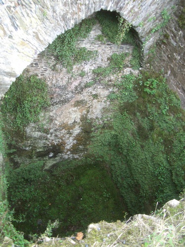 [Picture: Restormel Castle 29: Looking down the well 2]