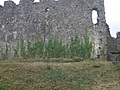 [Picture: Restormel Castle 43: Castle wall with creeper]
