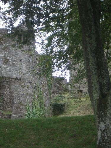 [Picture: Restormel Castle 46: Looking up]