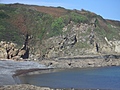 [Picture: Porthallow Beach 5]