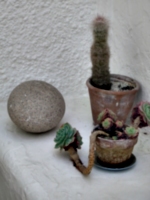 [picture: Barbara Hepworth Musem & Sculpture Gallery 18:Plants with round stone]