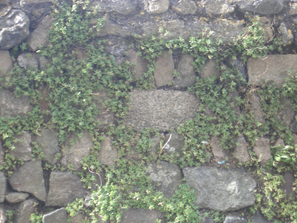 [Picture: Stone wall]
