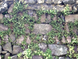 [Picture: Stone wall]