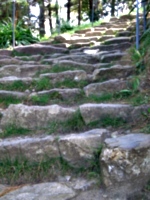 [picture: Rough stone steps]