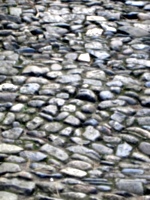 [picture: Cobbled path]