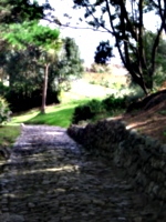 [picture: Cobbled path 4]