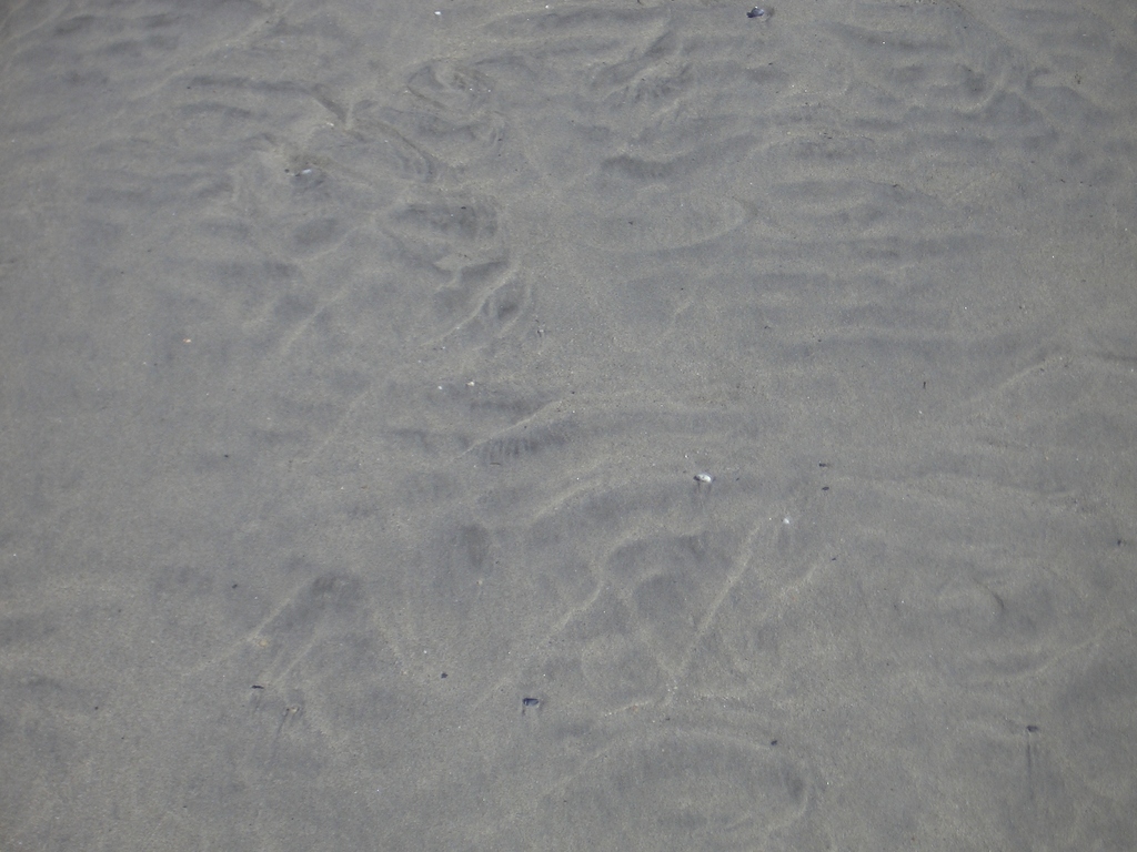 [Picture: Sand ridges texture]