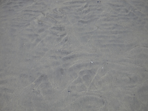 [Picture: Sand ridges texture]