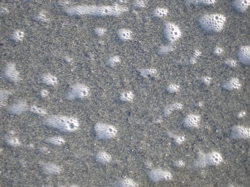 [Picture: Bubbles in the sand]