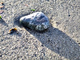 [Picture: Small rock on the beach]
