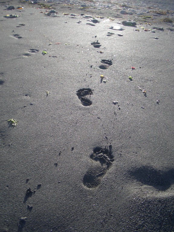 [Picture: Bare footprints in wet sand]