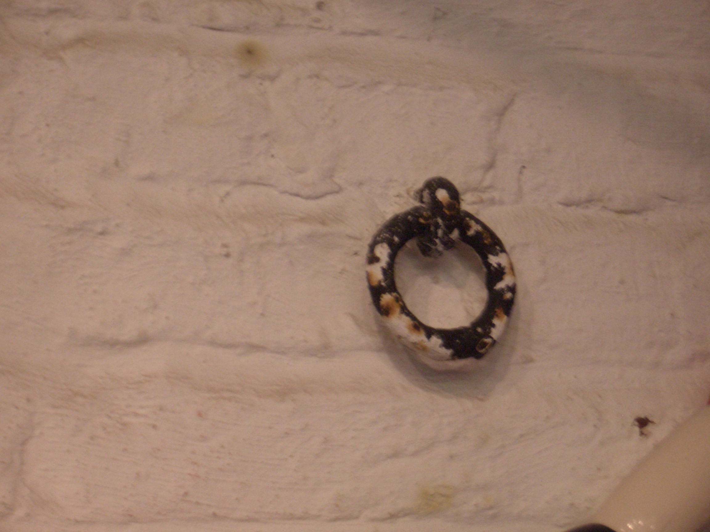 [Picture: Iron ring set in a whitewashed brick wall]