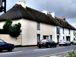 [picture: Thatched houses]