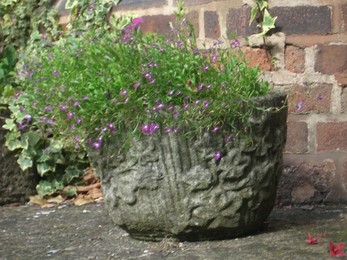 [Picture: Flowerpot]