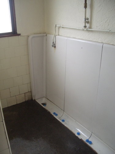 [Picture: Porthallow Public Toilet 2]