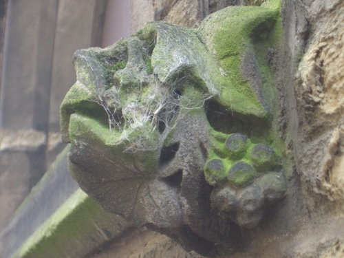 [Picture: cobweb-covered gargoyle]