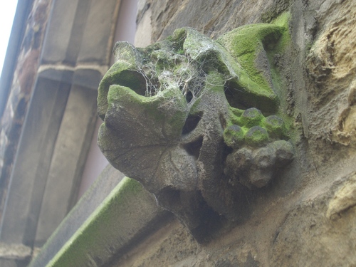 [Picture: copweb-covered gargoyle 2]