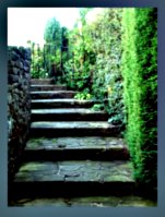 [picture: Winding stone stairs in the garden 3]